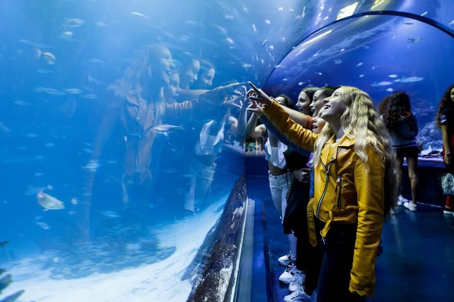 Madrid: Atlantis Aquarium Entry Ticket - Atlantis Aquarium at Madrid Xanadú