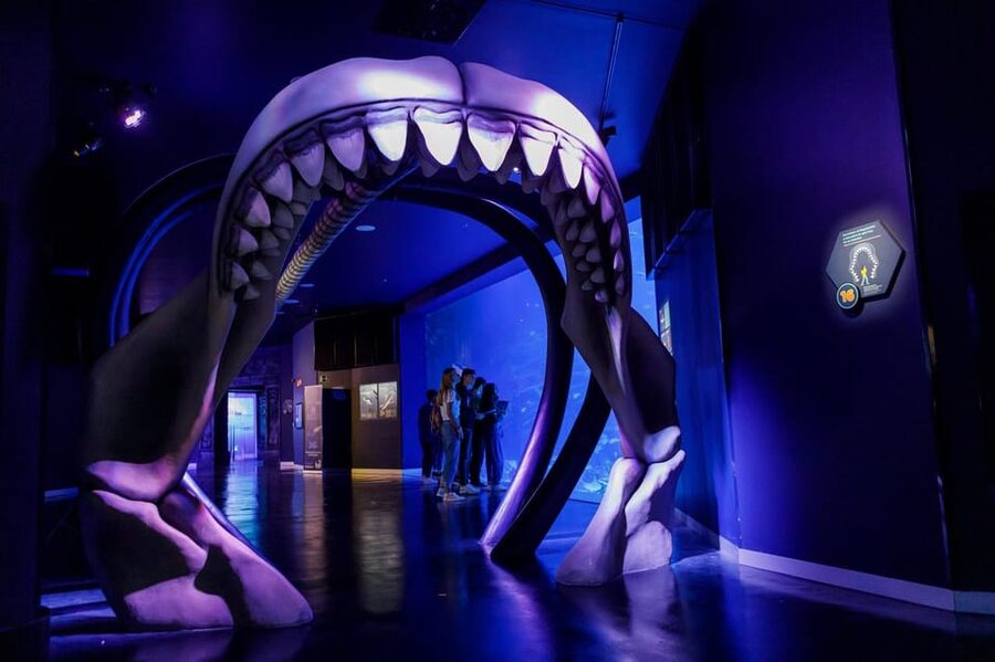 Madrid: Atlantis Aquarium Entry Ticket - Twenty aquariums and 10,000 specimens