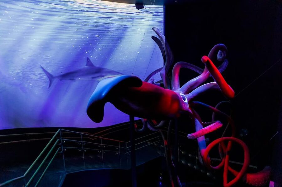 Madrid: Atlantis Aquarium Entry Ticket - A practical route through the exhibits