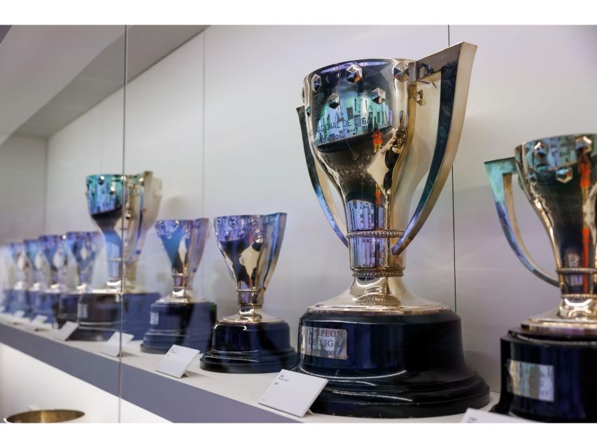 Madrid: Bernabeu Stadium Private Tour - Who will enjoy this Bernabéu visit most?