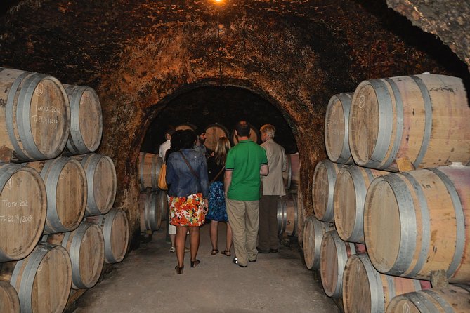 Madrid Countryside Wineries Guided Tour with Wine Tasting - Stop one: organic wine at Señorío de Val Azul