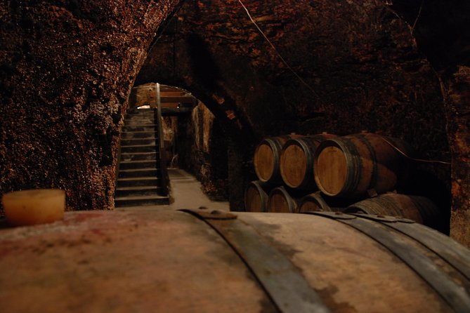 Madrid Countryside Wineries Guided Tour with Wine Tasting - What you will taste and eat