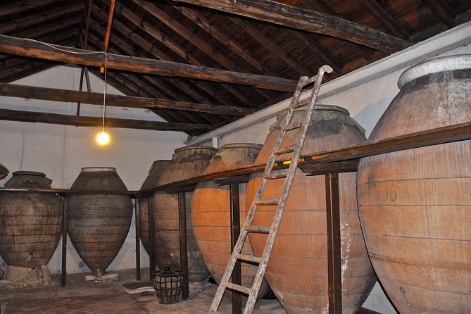 Madrid Countryside Wineries Guided Tour with Wine Tasting - The guide and the group experience