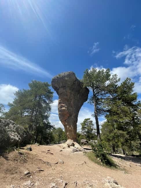 Madrid: Cuenca Day Tour with or without Enchanted City - Cathedral choice and lunch time