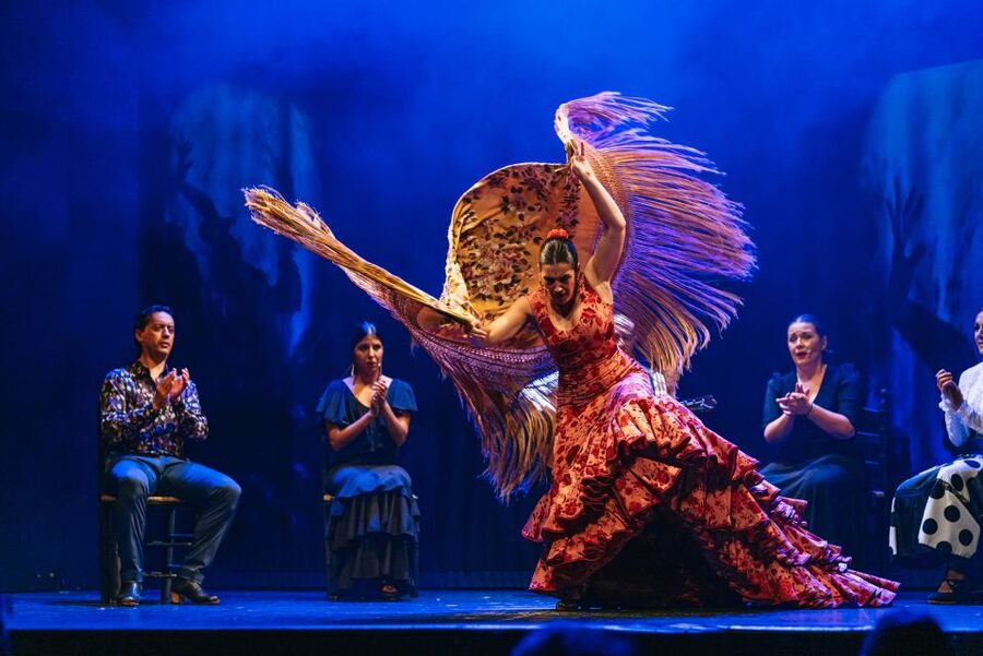 Madrid: "Emociones" Live Flamenco Performance - The music, dancers, and singers