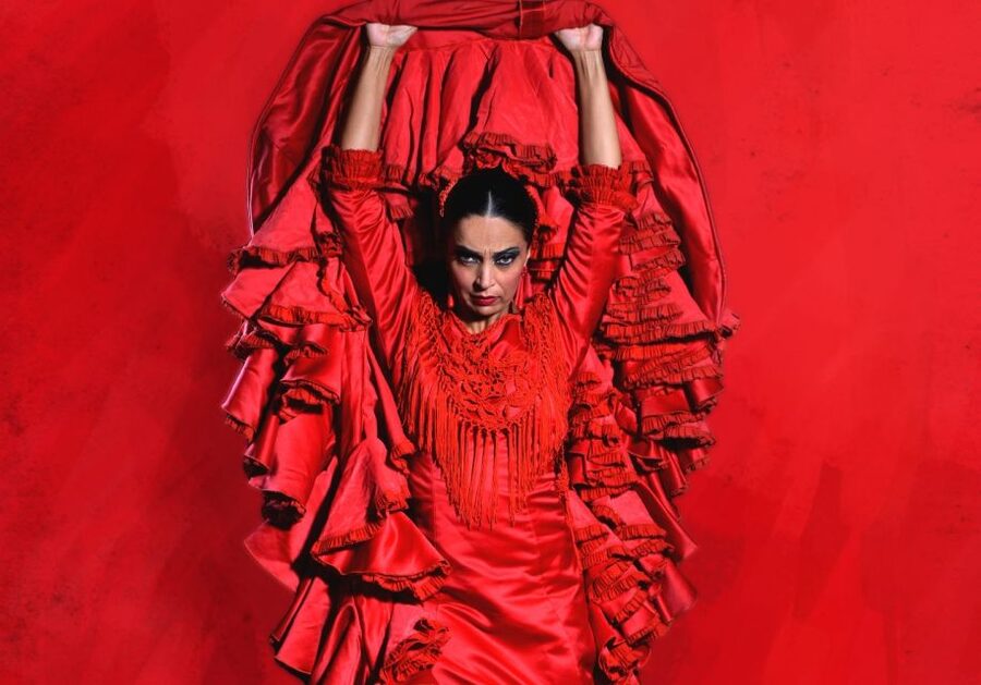 Madrid: "Emociones" Live Flamenco Performance - Drinks and the welcome option