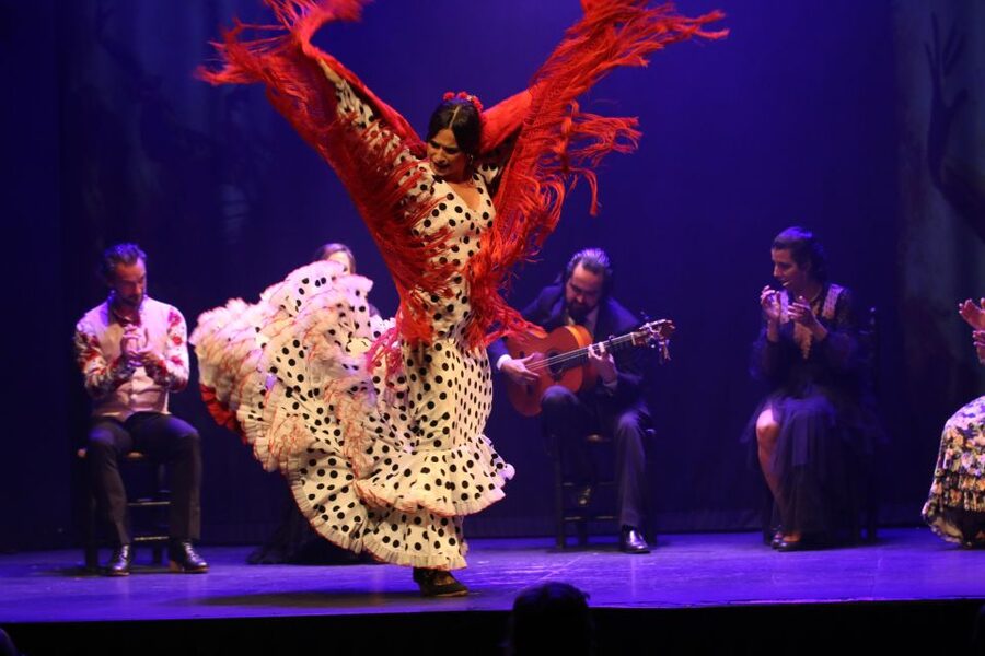Madrid: "Emociones" Live Flamenco Performance - Is $34 a fair price?