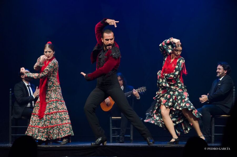 Madrid: "Emociones" Live Flamenco Performance - Who should book Emociones?