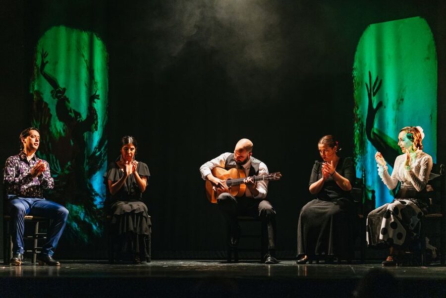 Madrid: "Emociones" Live Flamenco Performance - Practical tips for a better evening