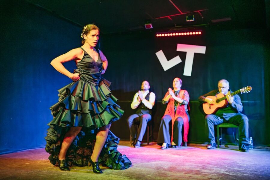 Madrid: Flamenco Show at Tablao "Las Tablas" with Drink - Is $36 fair for one hour?