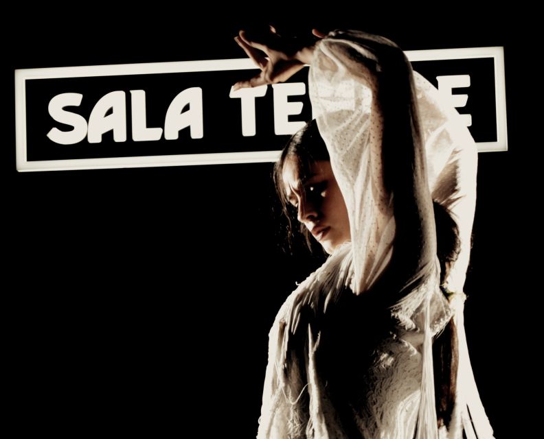 Madrid: Flamenco Show at Tablao Sala Temple with Drink - Should you book this flamenco show?