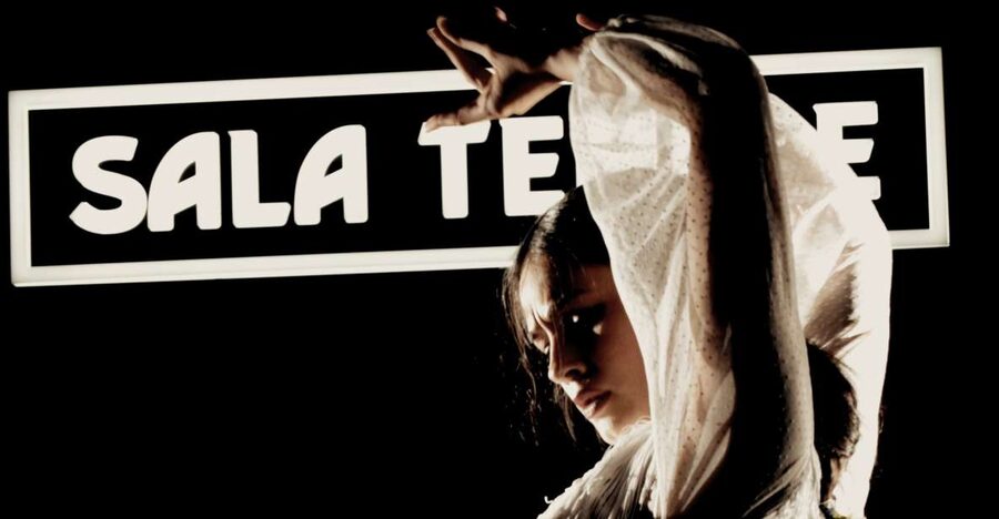Madrid: Flamenco Show at Tablao Sala Temple with Drink - Arriving near the Royal Palace