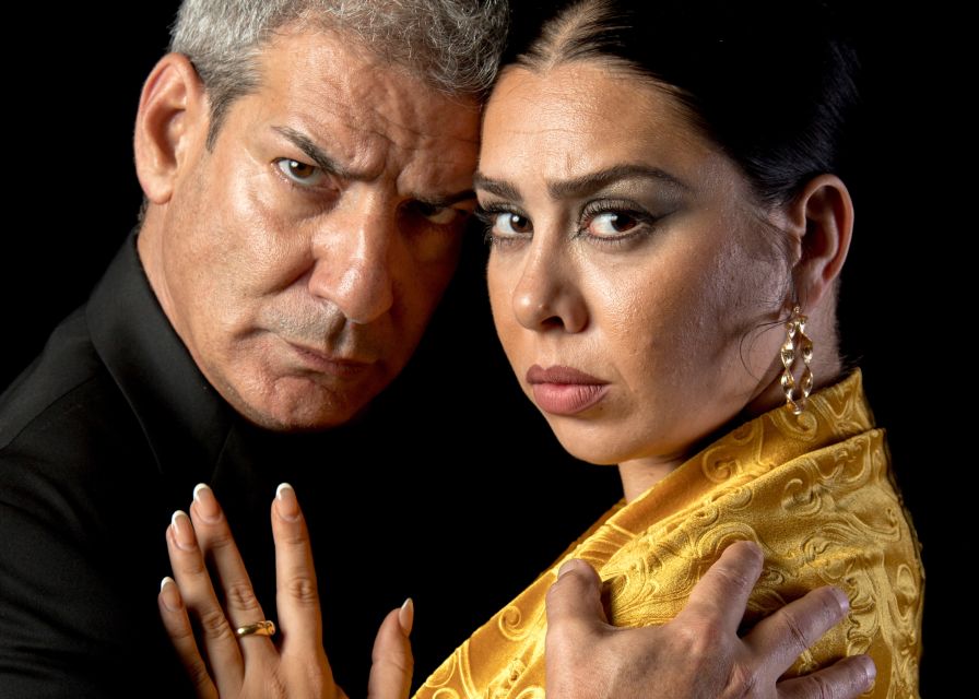 Madrid: Flamenco Show Entry Ticket with Drink & Artist Talk - Who should book this flamenco experience?