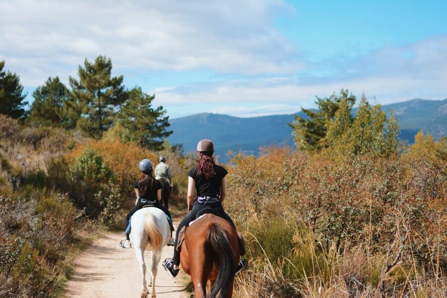 Madrid: Horse Riding in Sierra del Guadarrama National Park - Key points at a glance