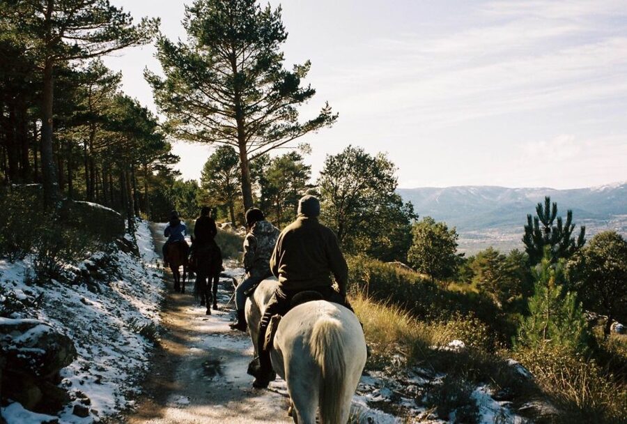 Madrid: Horse Riding in Sierra del Guadarrama National Park - Two hours through Sierra de Guadarrama