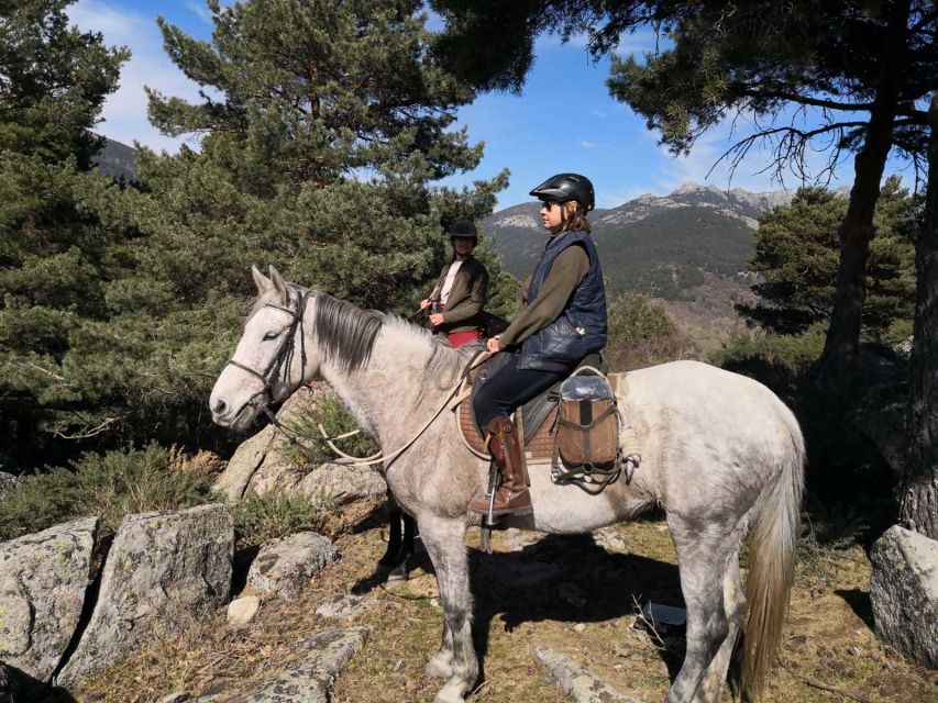 Madrid: Horse Riding in Sierra del Guadarrama National Park - The horses and riding standards