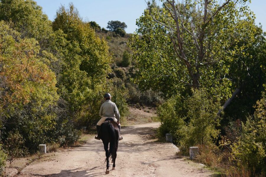 Madrid: Horse Riding in Sierra del Guadarrama National Park - Is two and a half hours enough?