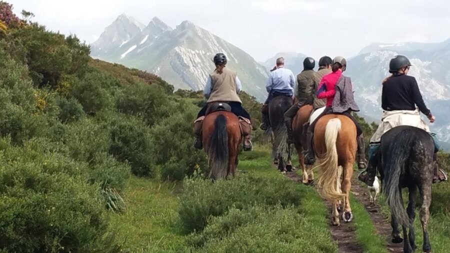 Madrid: Horse Riding in Sierra del Guadarrama National Park - Meeting at C. de las Pozas, 1