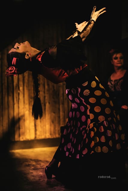 Madrid: Local Flamenco Show at El Cortijo - Inside the underground flamenco bar