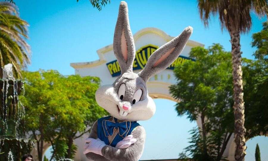 Madrid: Parque Warner Ticket and Roundtrip Transportation - Who should book this Parque Warner outing?