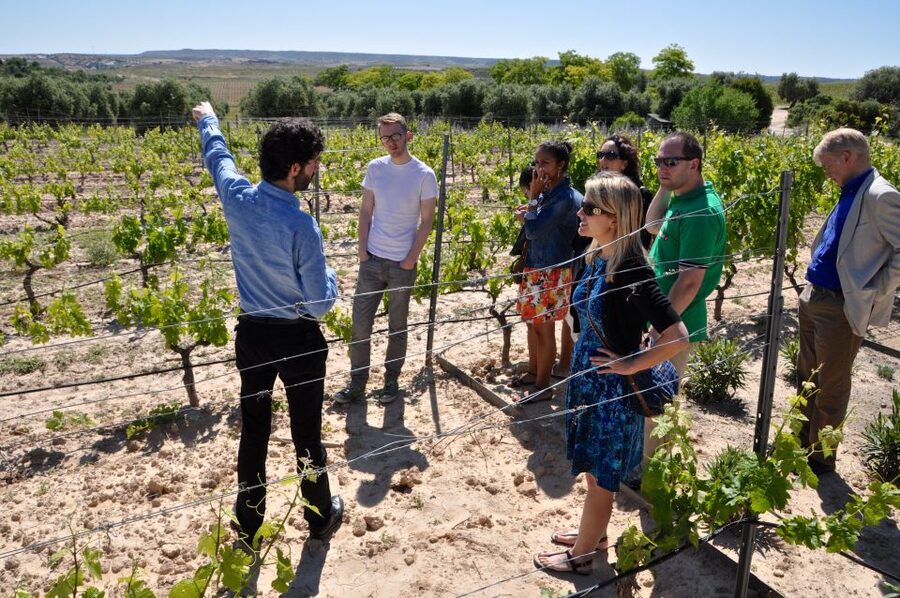Madrid Region Wineries Guided Tour with Wine Tastings - Colmenar de Oreja and its old wine cellars