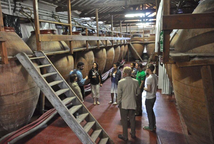 Madrid Region Wineries Guided Tour with Wine Tastings - Practical tips for a better day