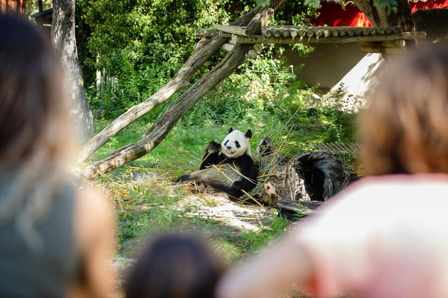 Madrid: Zoo Aquarium Madrid Ticket - Key points to know before you go