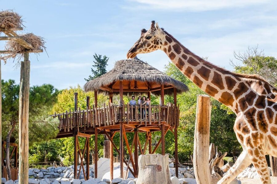 Madrid: Zoo Aquarium Madrid Ticket - A big zoo in the middle of Casa de Campo