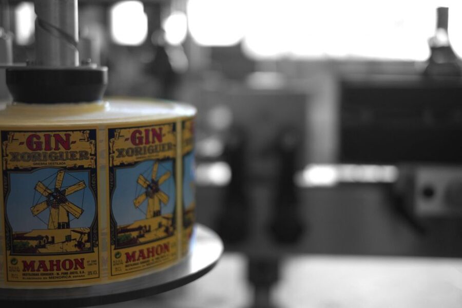 Mahón: Gin Distillery Tour with Tasting & Appetizers - Key points to know