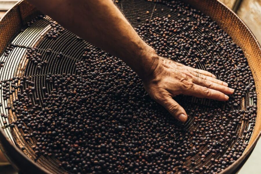 Mahón: Gin Distillery Tour with Tasting & Appetizers - What makes Xoriguer gin a Mahón experience