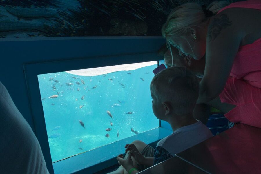 Mahon: Harbor Boat Tour with Underwater Viewing & Commentary - Returning Past San Felipe Castle and Es Castell