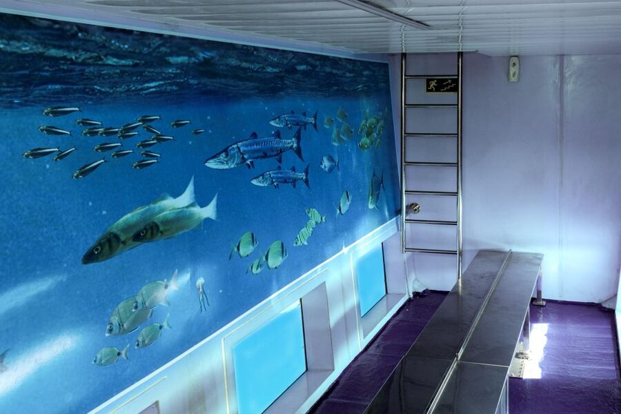 Mahon: Harbor Boat Tour with Underwater Viewing & Commentary - What the $21 Price Really Buys You