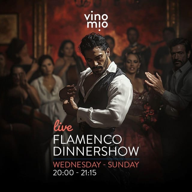 Malaga: Authentic Flamenco Dinner Show at Vino Mio - Key points to know before booking