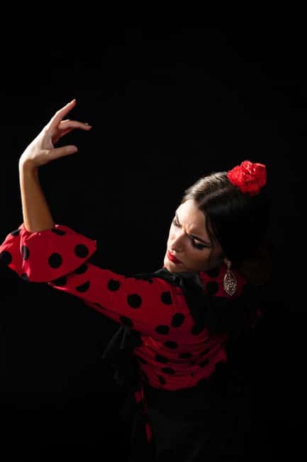 Malaga: Authentic Flamenco Dinner Show at Vino Mio - What happens at Vino Mio at 8 PM