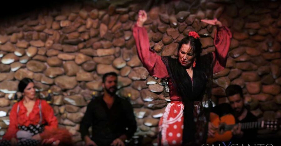 Malaga: Authentic Flamenco Show at El Gallo Ronco - Key points to know before booking