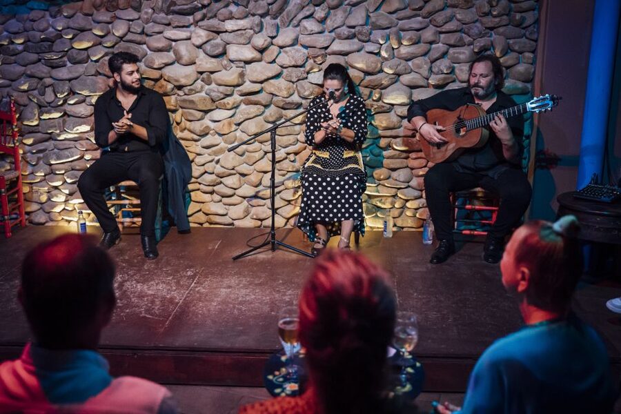 Malaga: Authentic Flamenco Show at El Gallo Ronco - Booking tips for a smoother evening