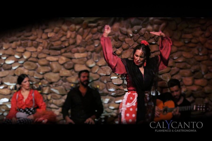Malaga: Authentic Flamenco Show at El Gallo Ronco - Inside the one-hour performance