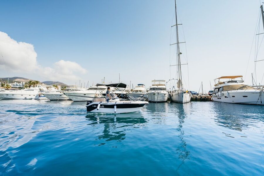Malaga: Boat Rental without a License for Dolphin Watching - Who will enjoy this most