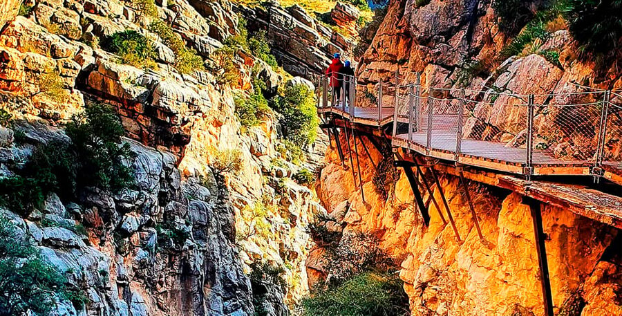 Málaga: Caminito del Rey Guided Tour with Transportation - Should you book the Málaga Caminito del Rey tour?