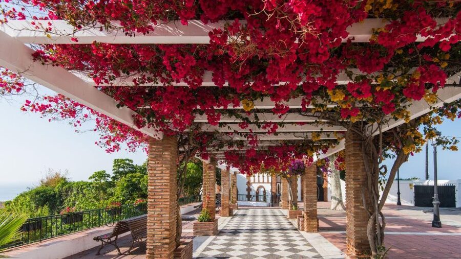 Malaga: Frigiliana & Nerja Tour with Local Product Tastings - Why this day trip works from Malaga