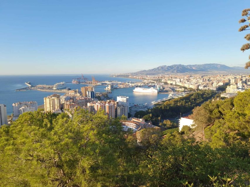 Malaga: Guided E-Bike Tour - Is $40 a fair price?