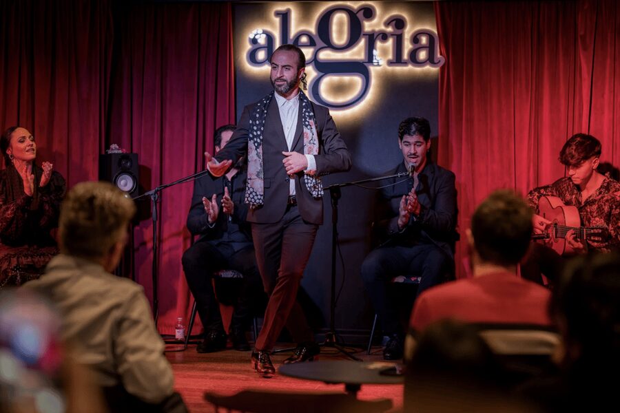 Málaga: Live Flamenco Show at Flamenco Alegría - Key points before you book