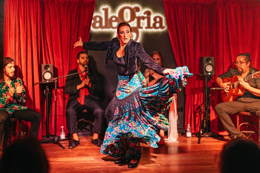 Málaga: Live Flamenco Show at Flamenco Alegría - Booking and cancellation details worth knowing