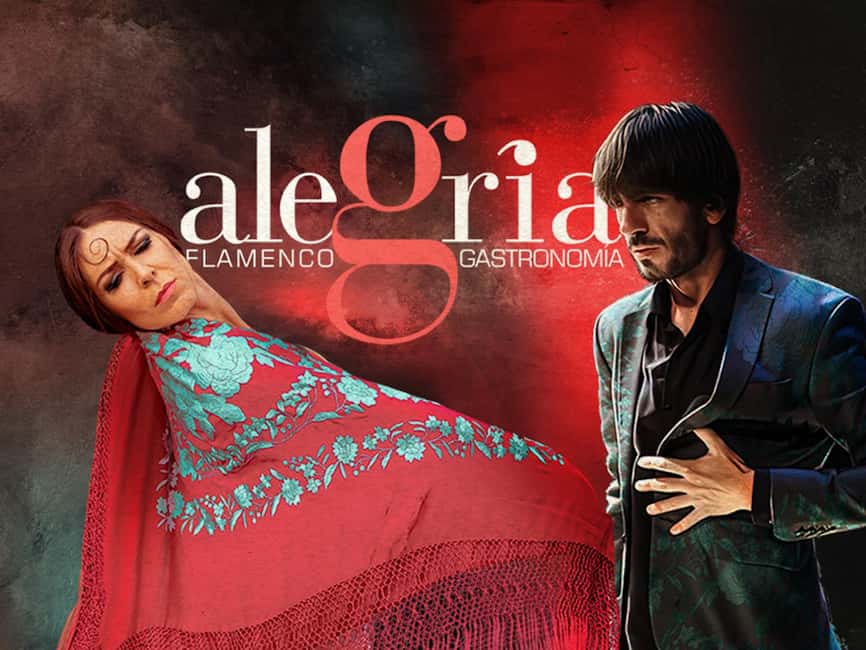Málaga: Live Flamenco Show at Flamenco Alegría - The intimate room puts you close to the action