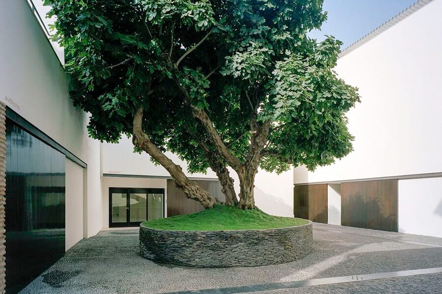 Málaga: Museo Picasso Málaga Entry Ticket - Making the most of the audio guide