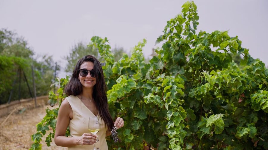 Malaga: Organic Vineyard Tour with 6 Wines, Tapas & Transfer - At a glance