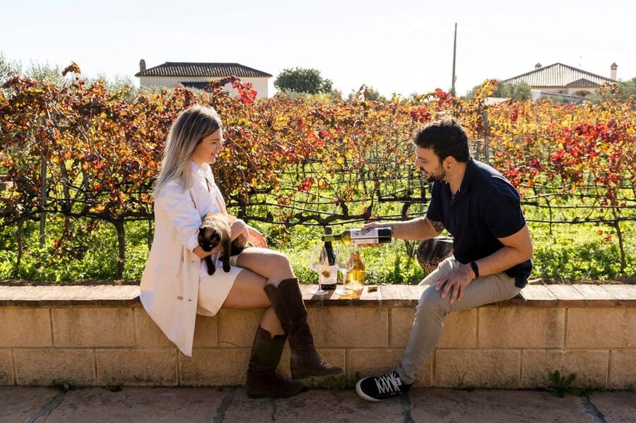 Malaga: Organic Vineyard Tour with 6 Wines, Tapas & Transfer - Leaving Málaga for the Malvajio vines