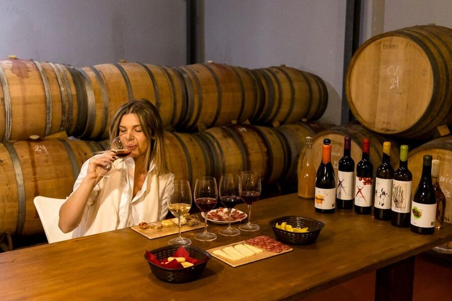 Malaga: Organic Vineyard Tour with 6 Wines, Tapas & Transfer - Inside the garage winery