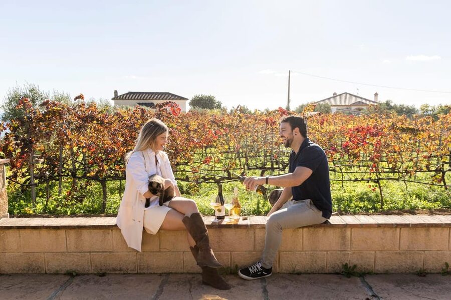 Malaga: Organic Vineyard Tour with 6 Wines, Tapas & Transfer - Small group promise and the social side