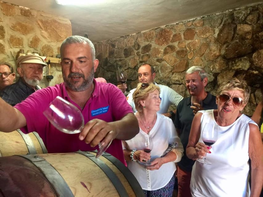 Malaga: Organic Vineyard Tour with 6 Wines, Tapas & Transfer - Is $112 a fair price?